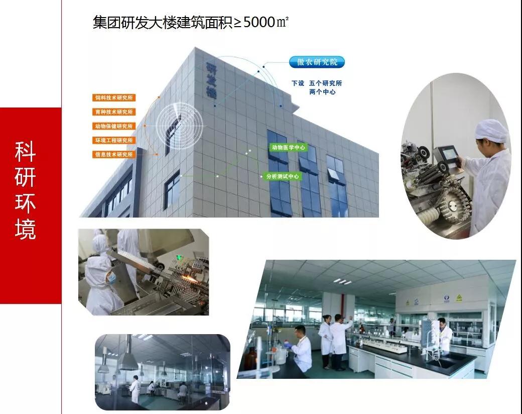918搏天堂(中国区)官方网站