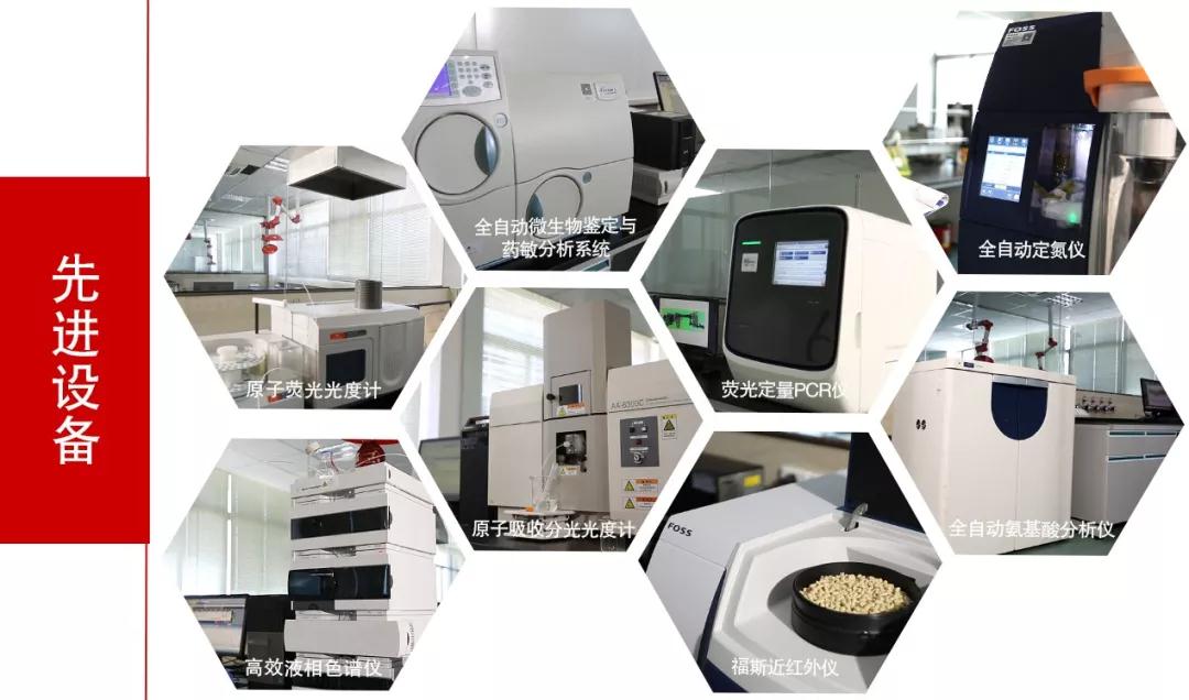 918搏天堂(中国区)官方网站