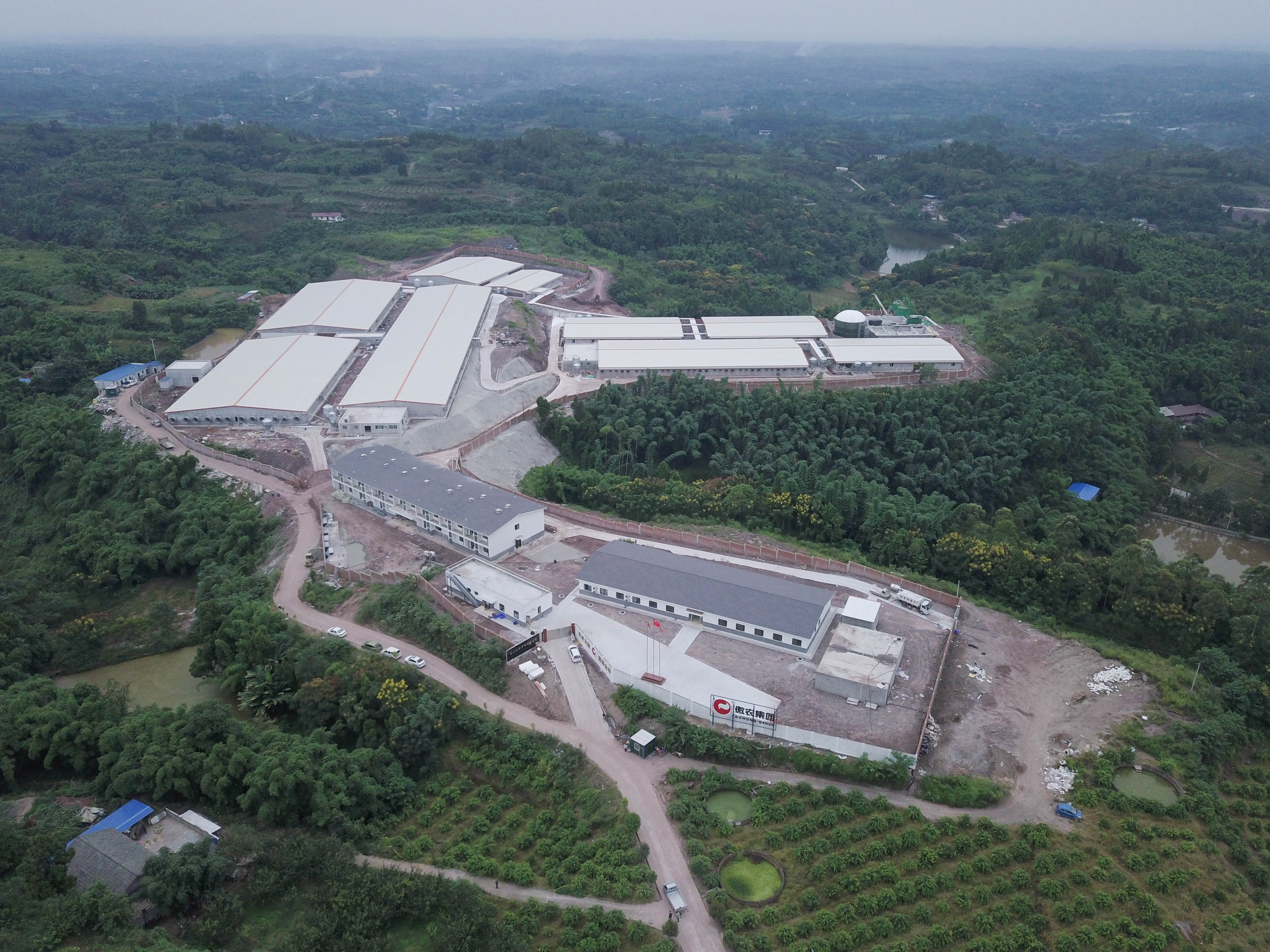 918搏天堂(中国区)官方网站