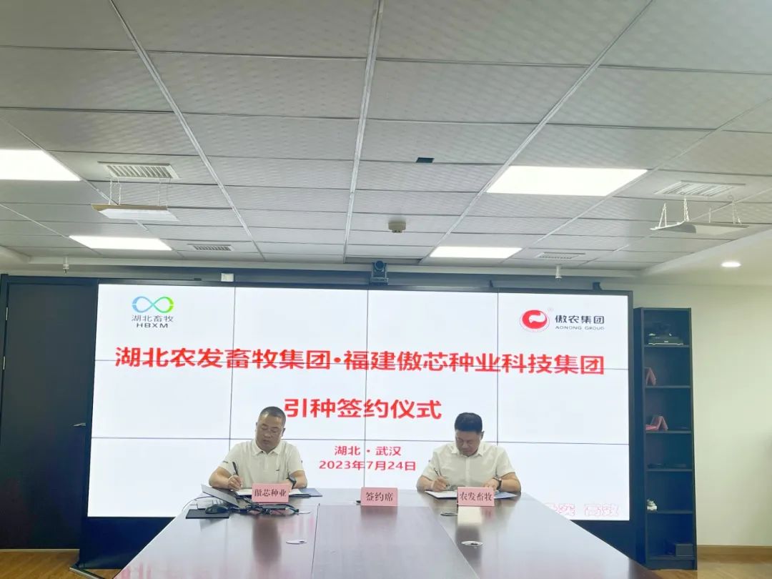 918搏天堂(中国区)官方网站