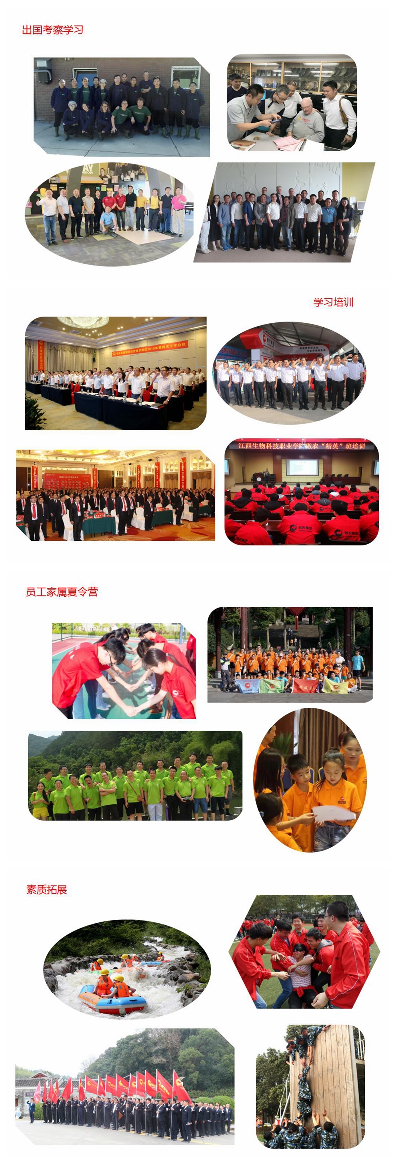 918搏天堂(中国区)官方网站
