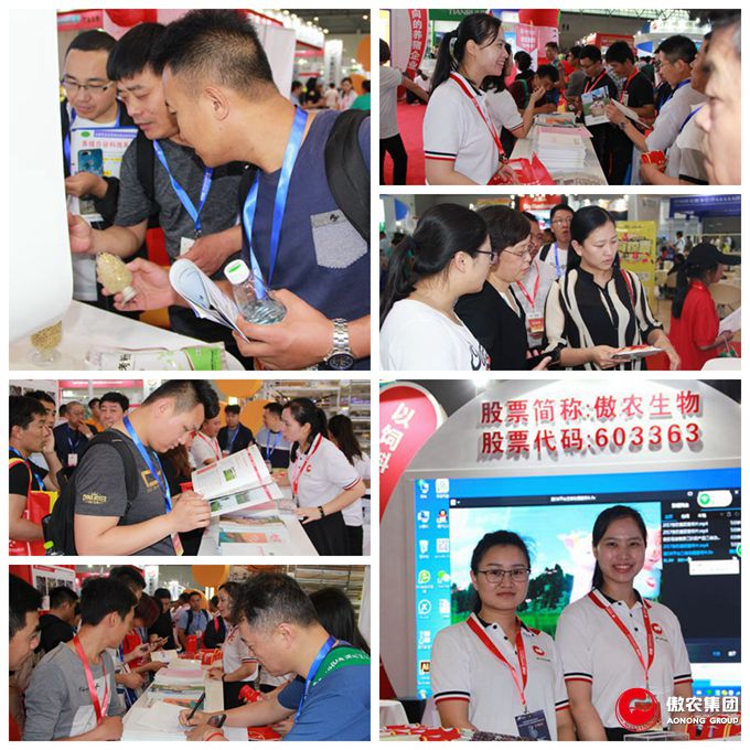918搏天堂(中国区)官方网站