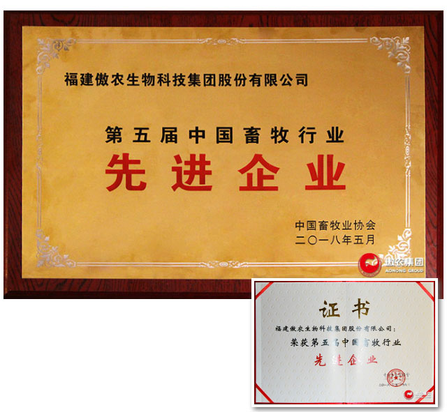 918搏天堂(中国区)官方网站