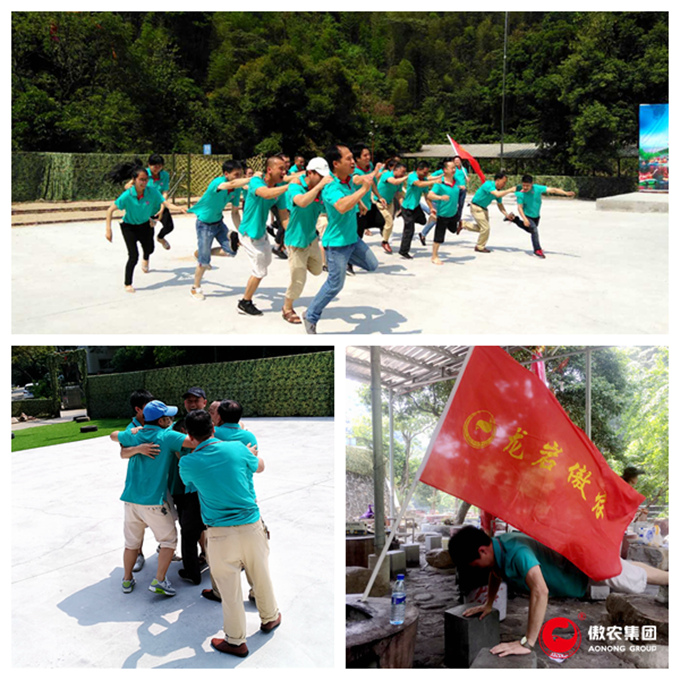 918搏天堂(中国区)官方网站