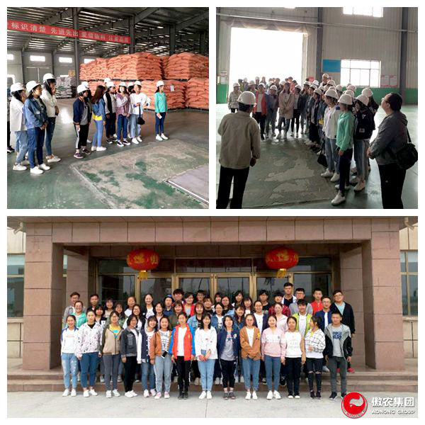 918搏天堂(中国区)官方网站
