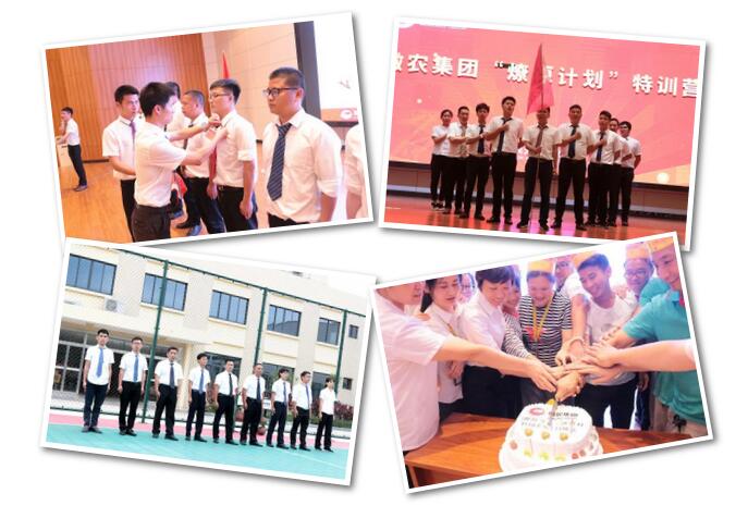 918搏天堂(中国区)官方网站