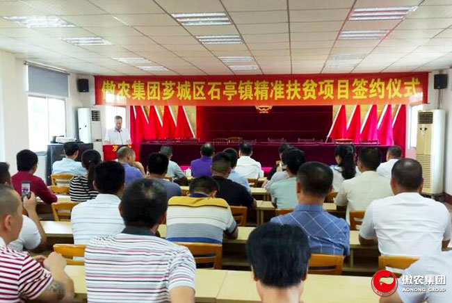 918搏天堂(中国区)官方网站
