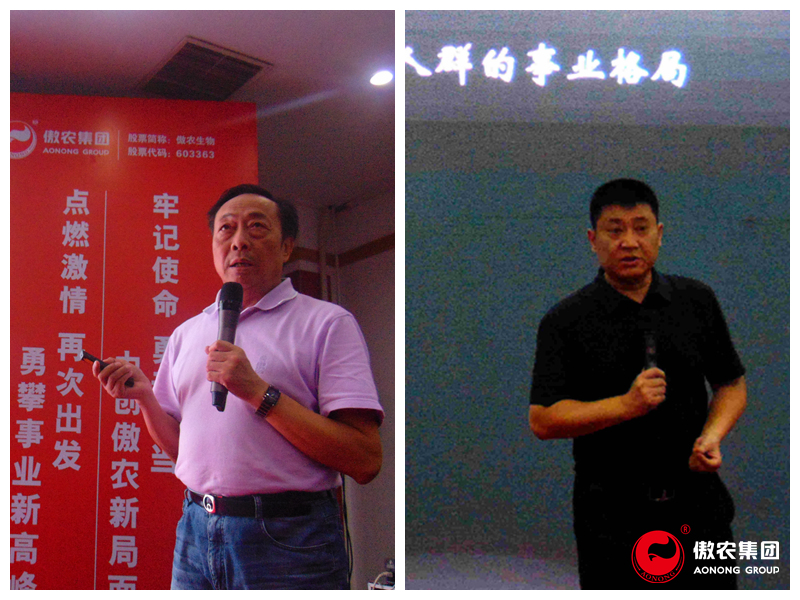 918搏天堂(中国区)官方网站