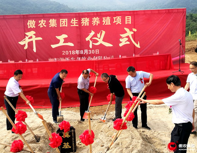 918搏天堂(中国区)官方网站