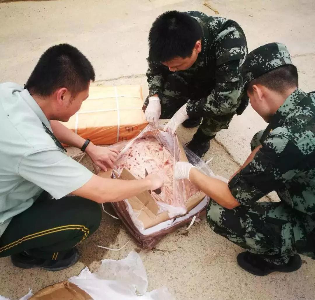 918搏天堂(中国区)官方网站