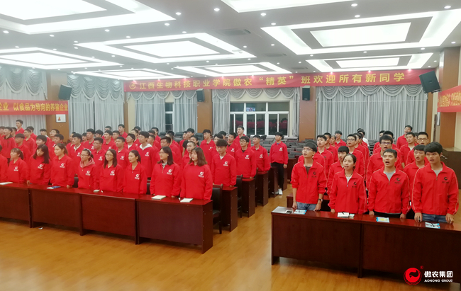 918搏天堂(中国区)官方网站