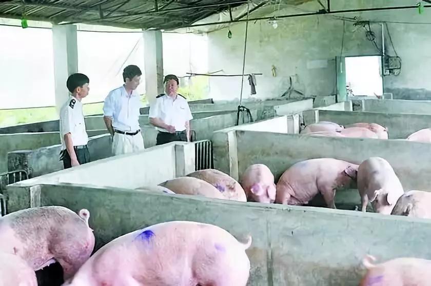 918搏天堂(中国区)官方网站