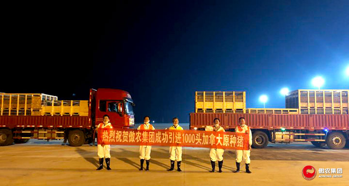 918搏天堂(中国区)官方网站