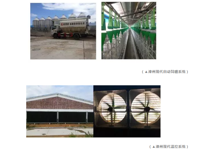 918搏天堂(中国区)官方网站