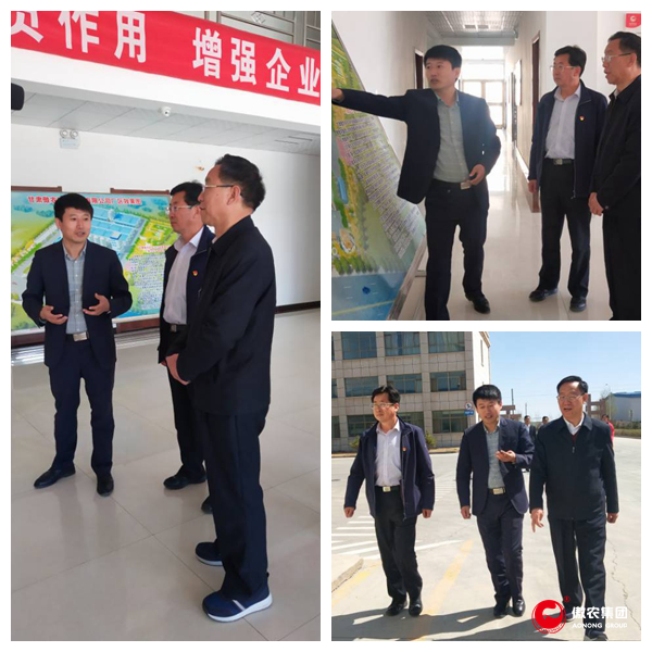 918搏天堂(中国区)官方网站