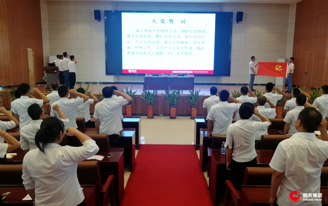 918搏天堂(中国区)官方网站