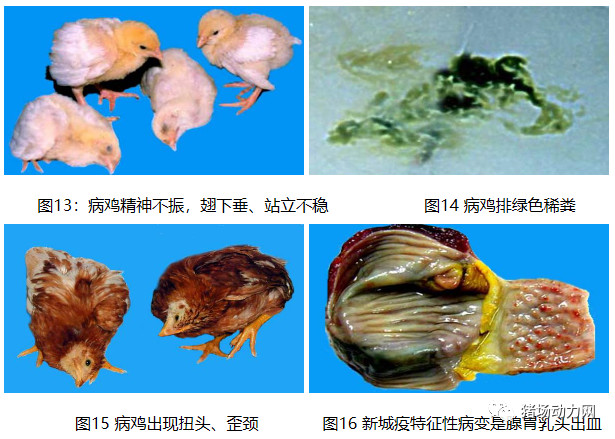 918搏天堂(中国区)官方网站