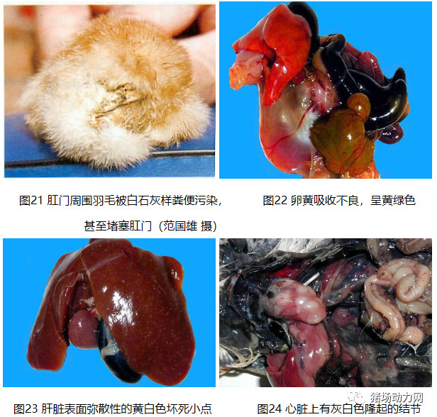 918搏天堂(中国区)官方网站