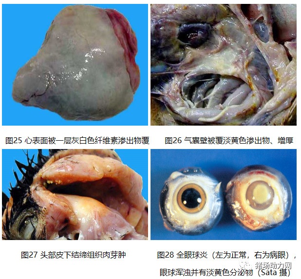 918搏天堂(中国区)官方网站