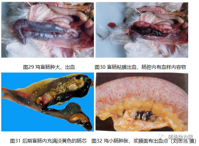 918搏天堂(中国区)官方网站