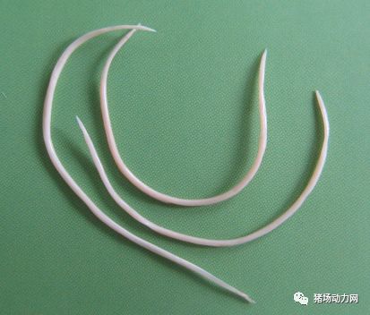 918搏天堂(中国区)官方网站