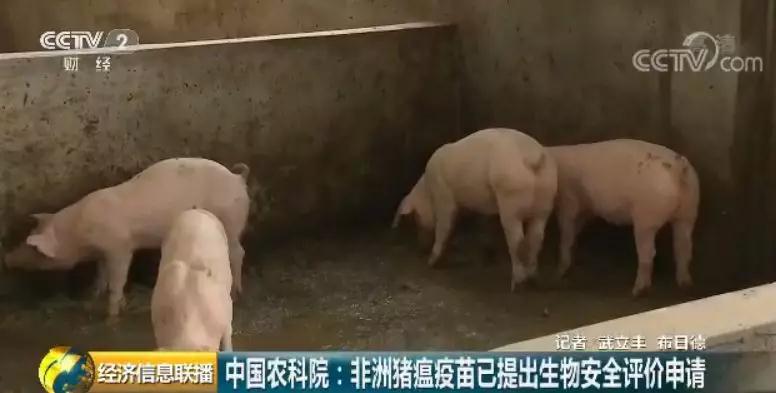918搏天堂(中国区)官方网站