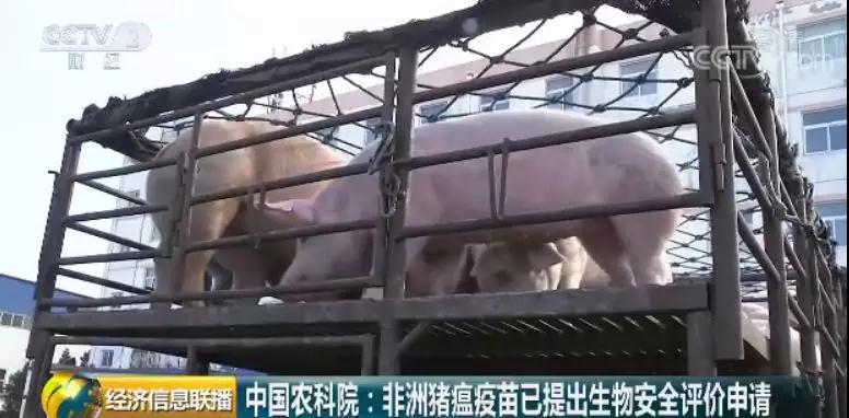 918搏天堂(中国区)官方网站