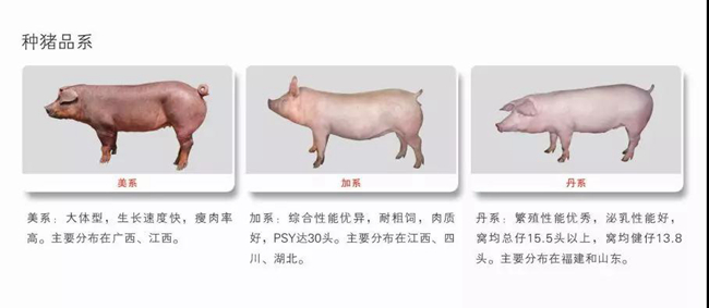 918搏天堂(中国区)官方网站