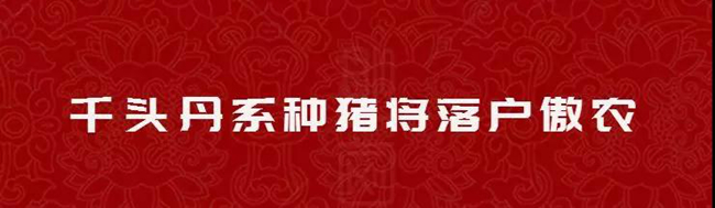 918搏天堂(中国区)官方网站