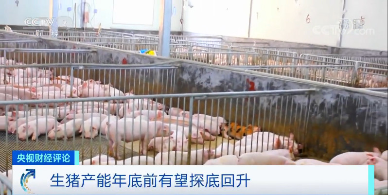 918搏天堂(中国区)官方网站