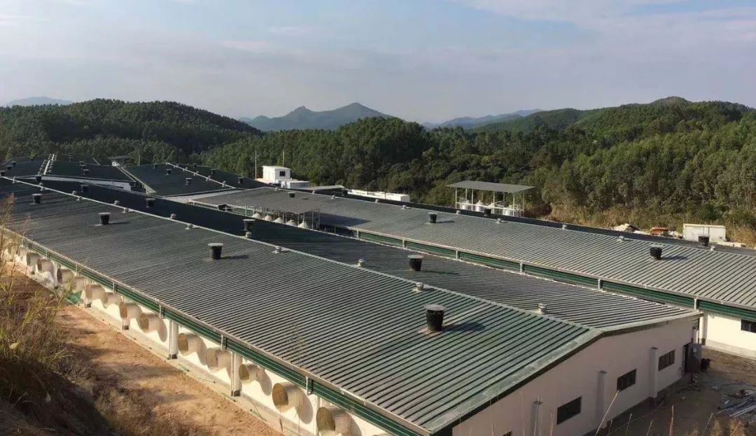 918搏天堂(中国区)官方网站