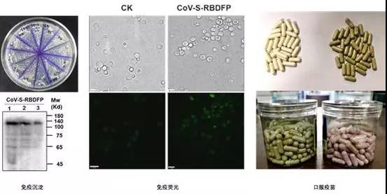 918搏天堂(中国区)官方网站