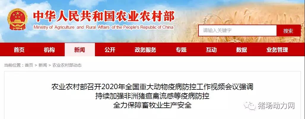 918搏天堂(中国区)官方网站