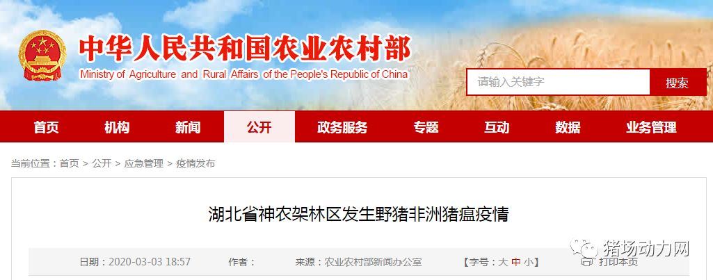 918搏天堂(中国区)官方网站