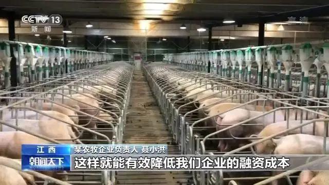 918搏天堂(中国区)官方网站