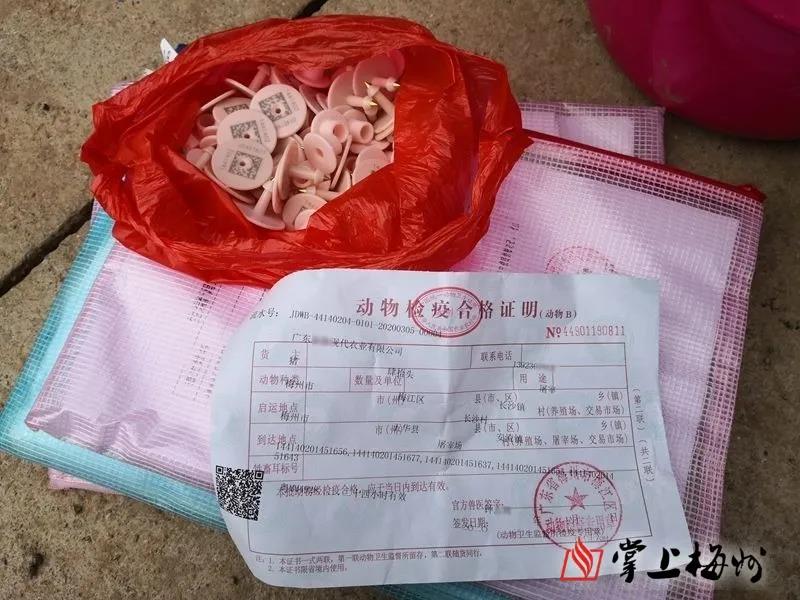 918搏天堂(中国区)官方网站