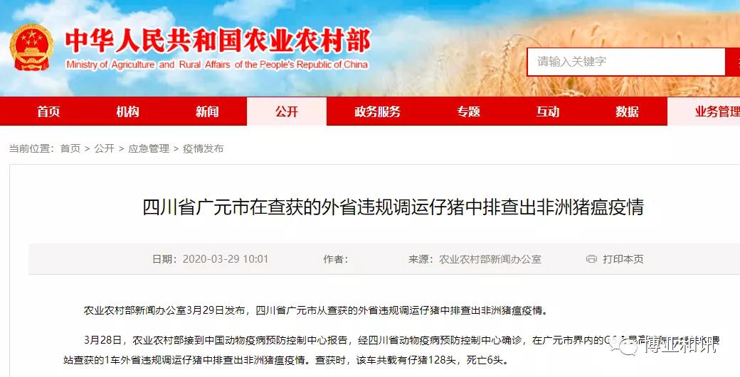 918搏天堂(中国区)官方网站