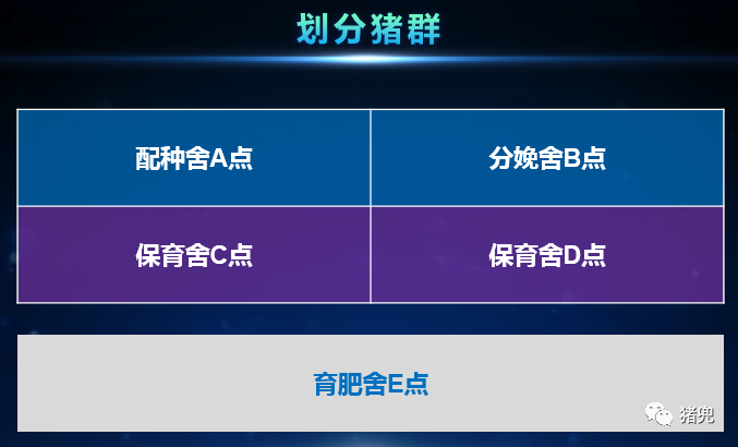 918搏天堂(中国区)官方网站