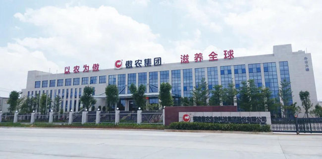 918搏天堂(中国区)官方网站