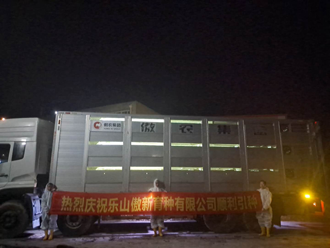 918搏天堂(中国区)官方网站