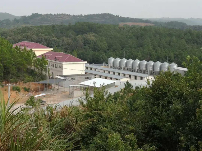 918搏天堂(中国区)官方网站