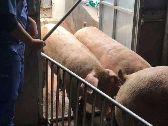 918搏天堂(中国区)官方网站