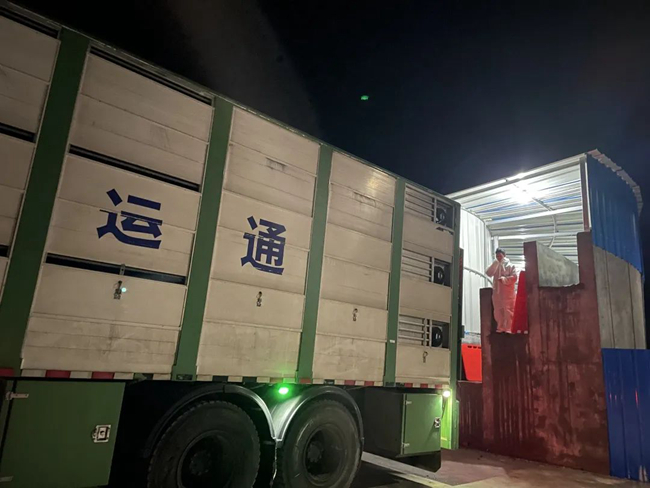 918搏天堂(中国区)官方网站