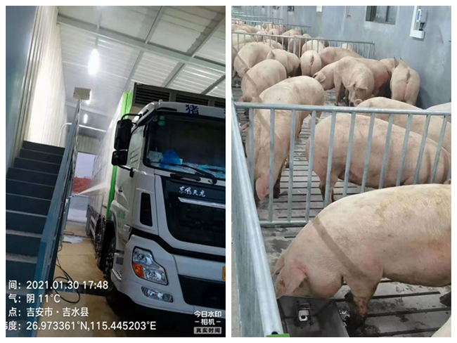 918搏天堂(中国区)官方网站