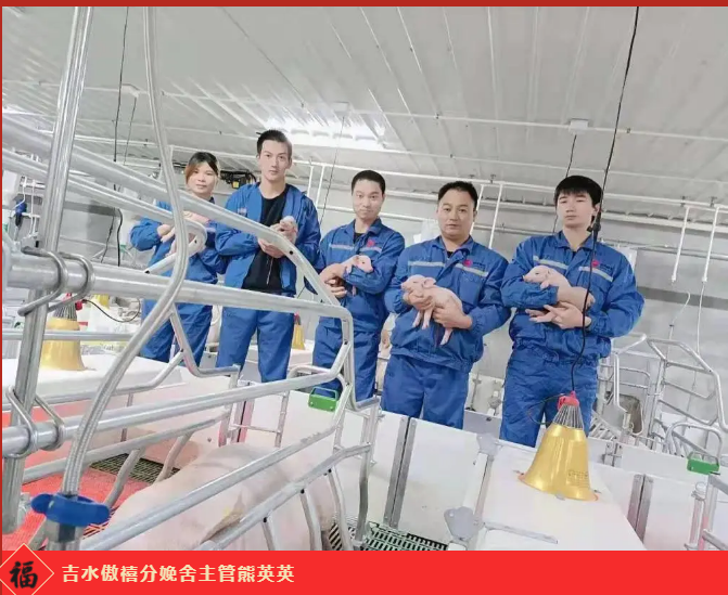 918搏天堂(中国区)官方网站