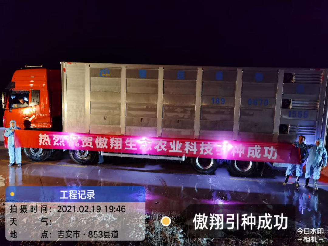 918搏天堂(中国区)官方网站