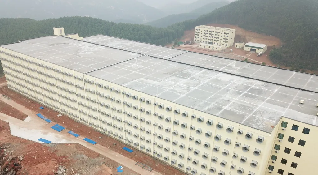 918搏天堂(中国区)官方网站