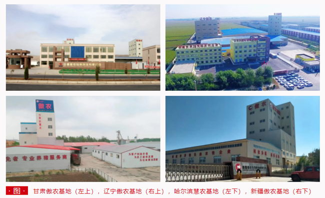918搏天堂(中国区)官方网站
