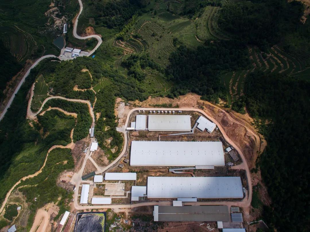918搏天堂(中国区)官方网站