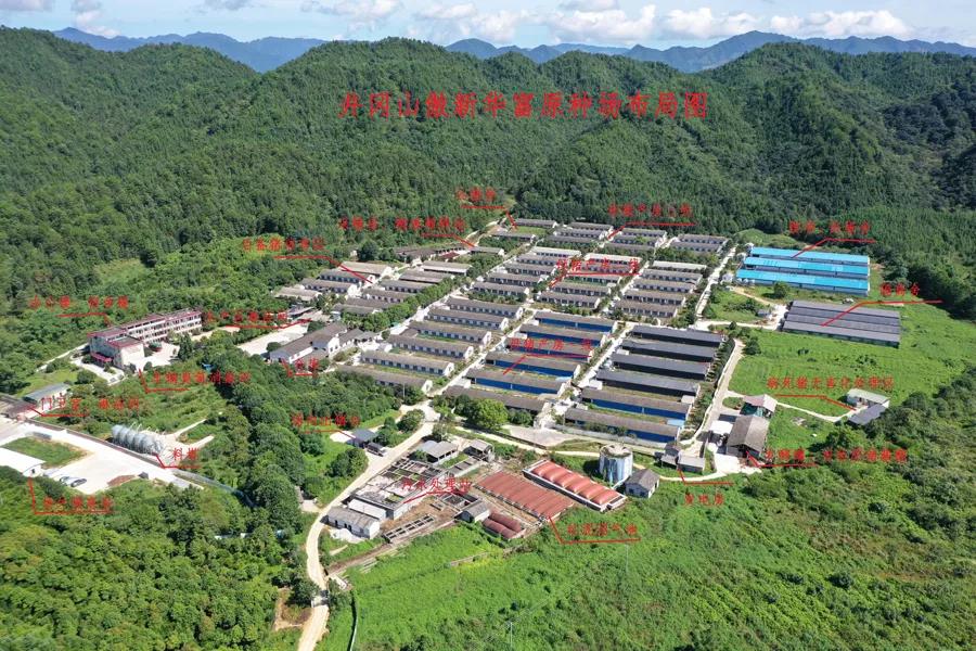 918搏天堂(中国区)官方网站